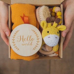 Baby Teething Toy Gift Set for Happy, Soothing Relief
